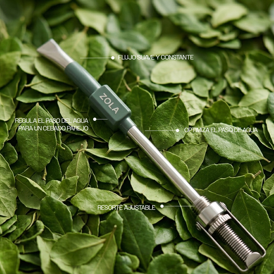 #color_green-forest