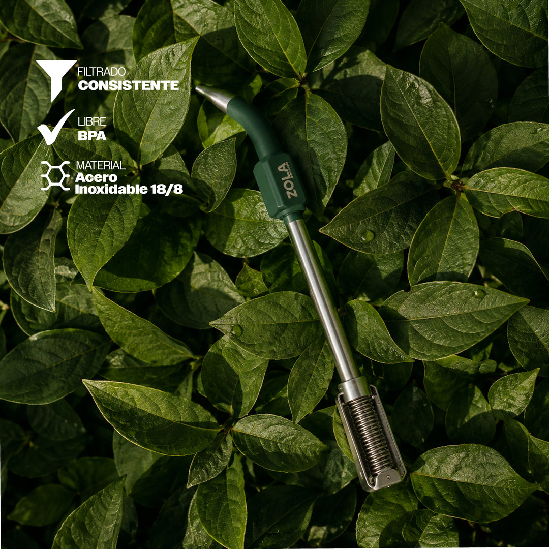 #color_green-forest
