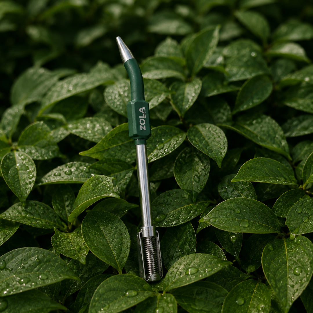 #color_green-forest