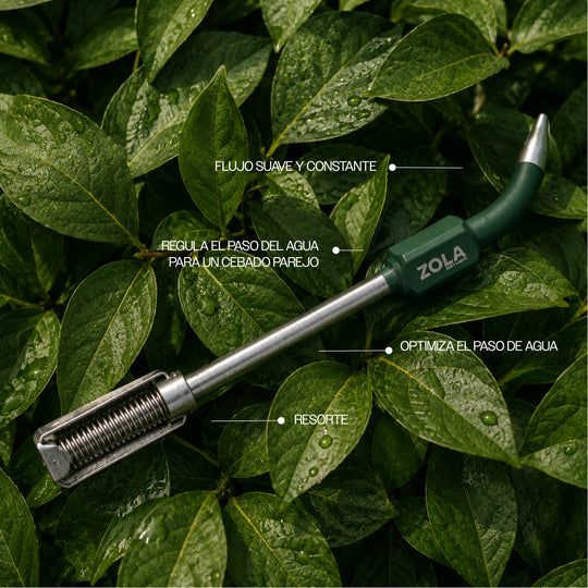 #color_green-forest