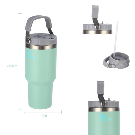 #color_green-mint